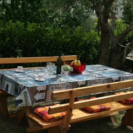 With Garden And View